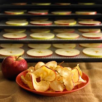B004Z915M4_Excalibur_3900B_9-Tray_Deluxe_Dehydrator_apples._V398057719_