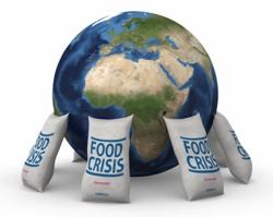 world_food_crisis