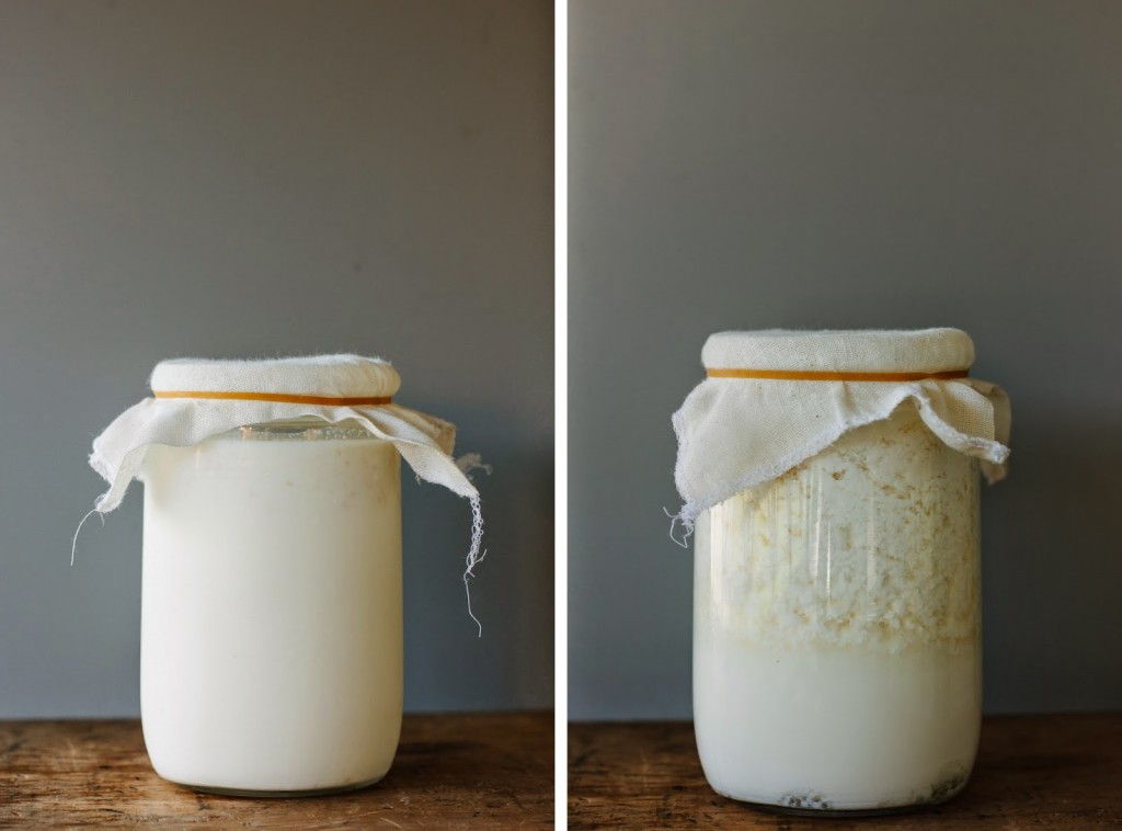 milk kefir fermenting