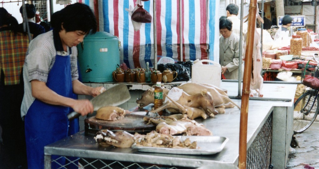 Dogs_being_butchered_in_Guangdong,_China_1999