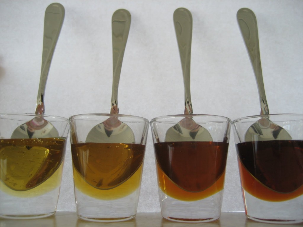Honey Tasting (11)