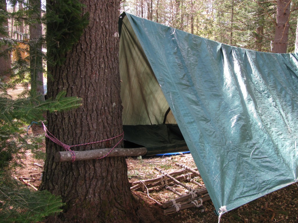 Pole_tarp_and_rope_shelter_4855