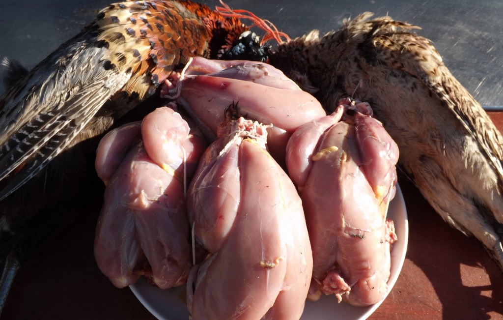 skinning pheasants