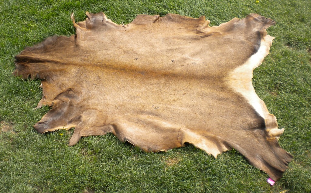 tanning cow hides at home